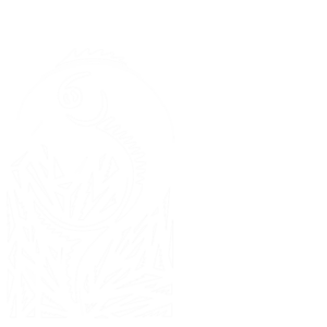 Friesland School logo